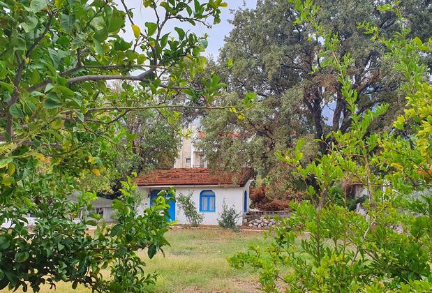 Dilek Ağacı Butik Otel - Görsel 28