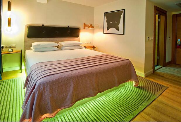 Parkhouse Boutique Hotel & Spa - Görsel 21