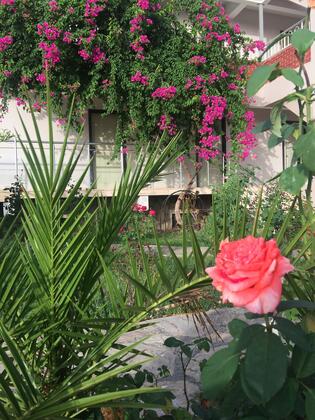 Dalyan Palmiye Resort - Görsel 5