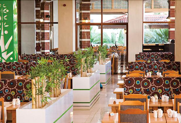 Defne Dream - Görsel 12