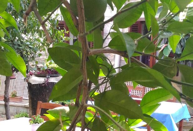 Yükser Pansiyon - Görsel 16