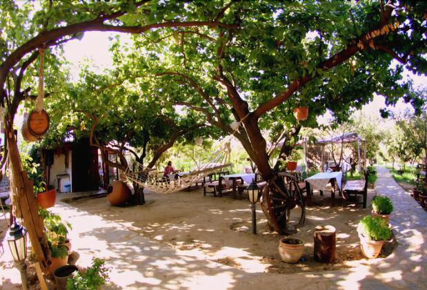 Salkım Konak ve Ağaç Evler - Görsel 6