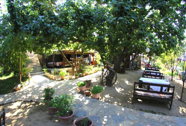 Salkım Konak ve Ağaç Evler - Görsel 7