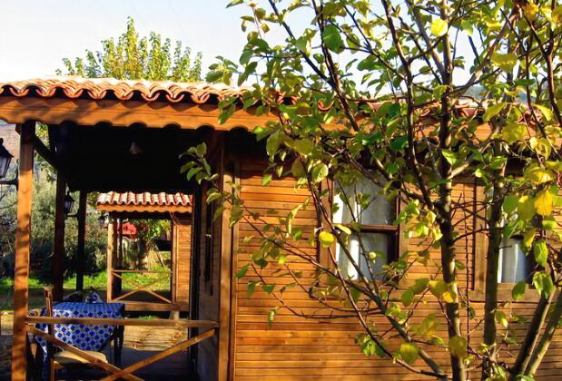 Salkım Konak ve Ağaç Evler - Görsel 9