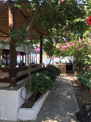 Hera Apart & Restaurant Gümüşlük - Görsel 8