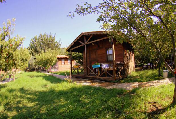 Salkım Konak ve Ağaç Evler - Görsel 8