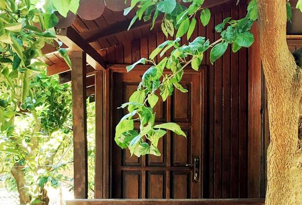 Base Bungalows - Görsel 5