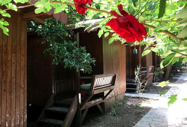 Base Bungalows - Görsel 13