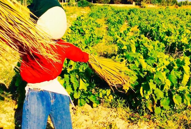 Karina Vineyard House +15 Adult Only - Görsel 21