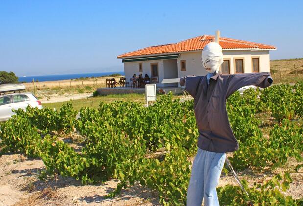 Karina Vineyard House +15 Adult Only - Görsel 14