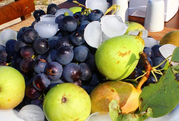 Karina Vineyard House +15 Adult Only - Görsel 22