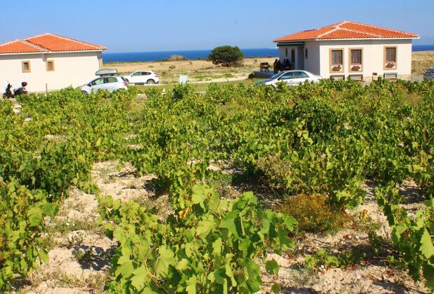 Karina Vineyard House +15 Adult Only - Görsel 13