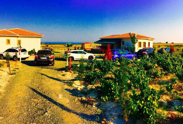 Karina Vineyard House +15 Adult Only - Görsel 12