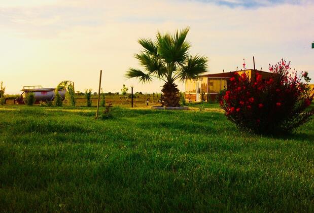 Karina Vineyard House +15 Adult Only - Görsel 19