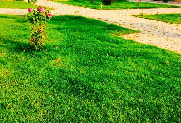 Karina Vineyard House +15 Adult Only - Görsel 17