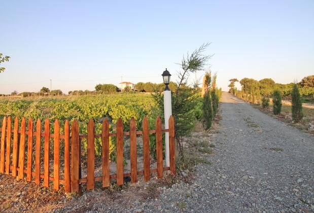 Karina Vineyard House +15 Adult Only - Görsel 20