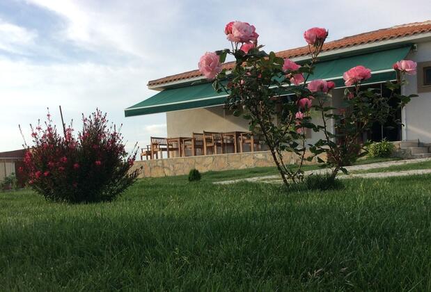 Karina Vineyard House +15 Adult Only - Görsel 8