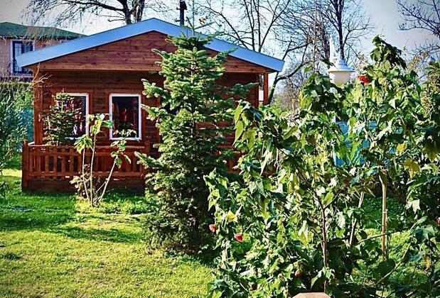 Alaska Bungalow Sapanca - Görsel 7