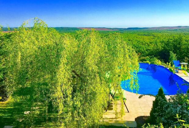 Villa Gudca - Görsel 41