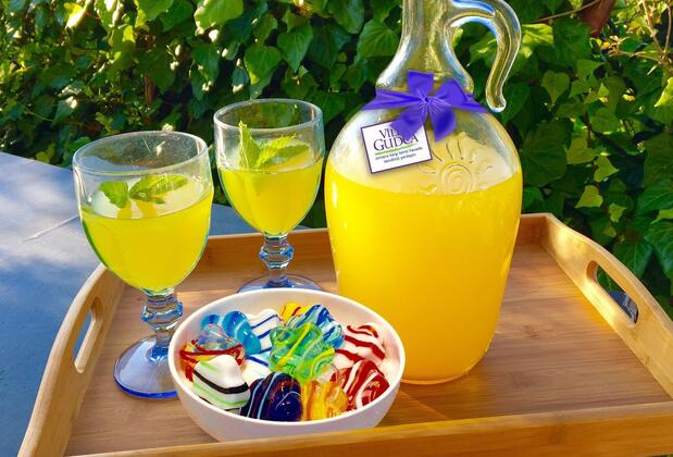 Villa Gudca - Görsel 29