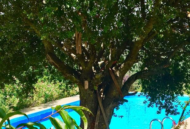 Villa Gudca - Görsel 32