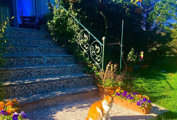 Villa Gudca - Görsel 30