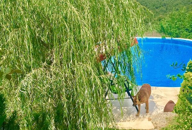 Villa Gudca - Görsel 20