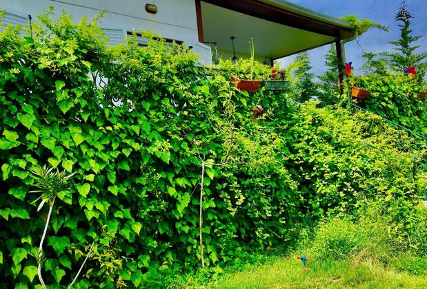 Villa Gudca - Görsel 16