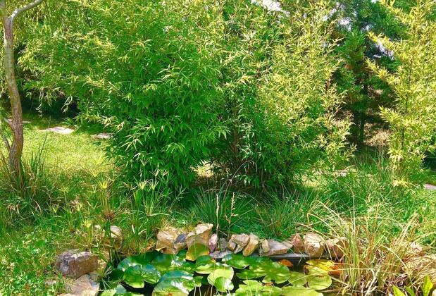 Villa Gudca - Görsel 24