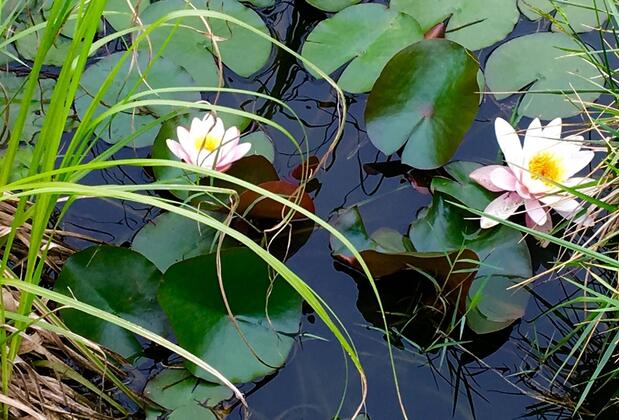 Villa Gudca - Görsel 25