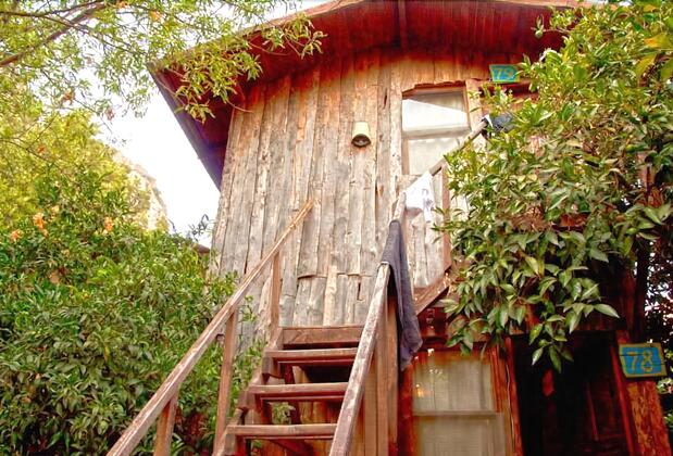 Bayrams Tree Houses - Görsel 3
