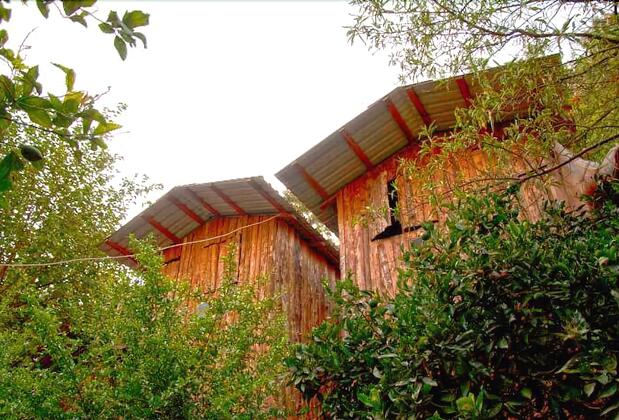 Bayrams Tree Houses - Görsel 2