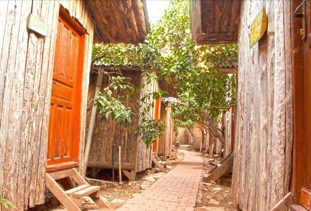 Bayrams Tree Houses - Görsel 4