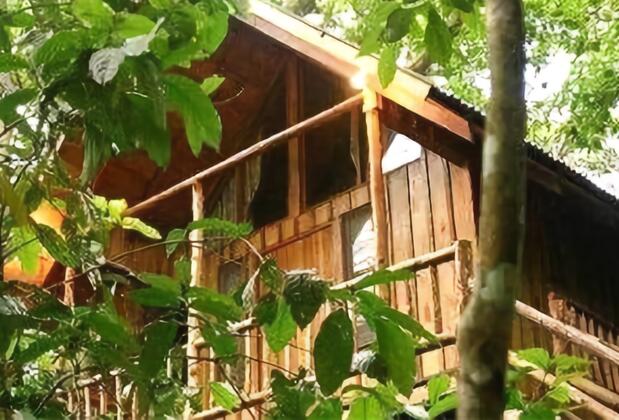 Bayrams Tree Houses - Görsel 6