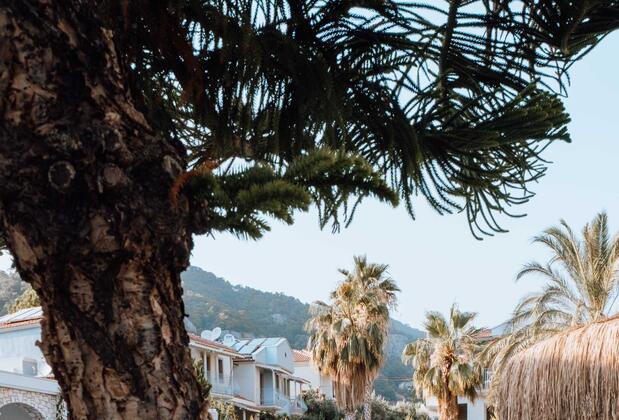 Kassandra Boutique Hotel - Görsel 24