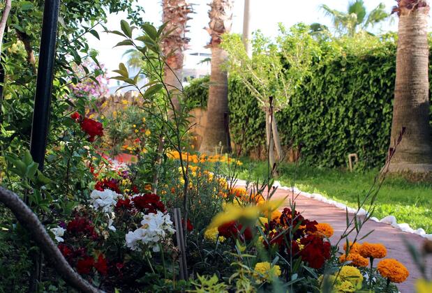 Semoris Hotel - Görsel 45