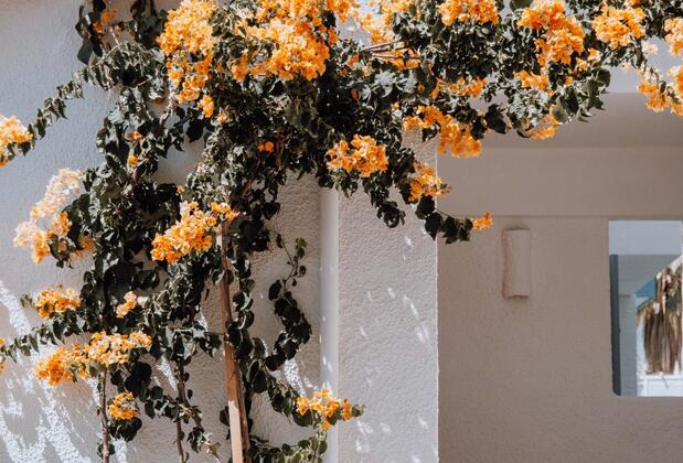 Kassandra Boutique Hotel - Görsel 29