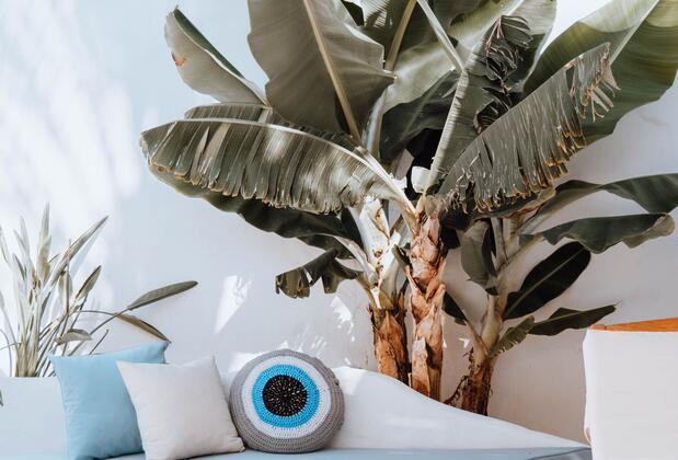 Kassandra Boutique Hotel - Görsel 31