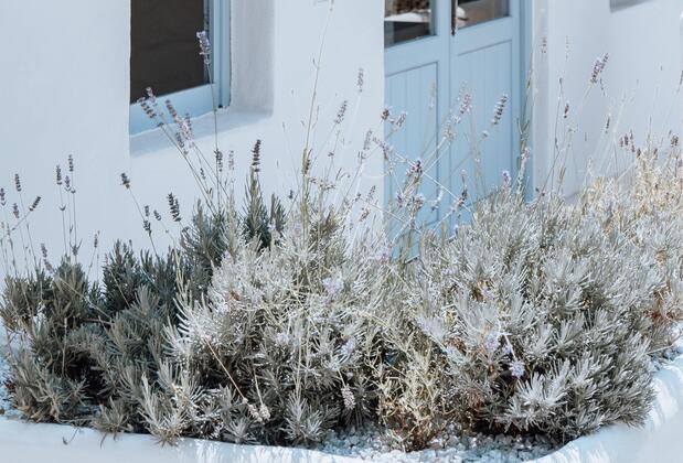 Kassandra Boutique Hotel - Görsel 34