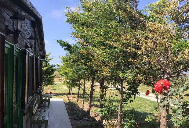 Elyada Otel Bağ Evi - Görsel 42