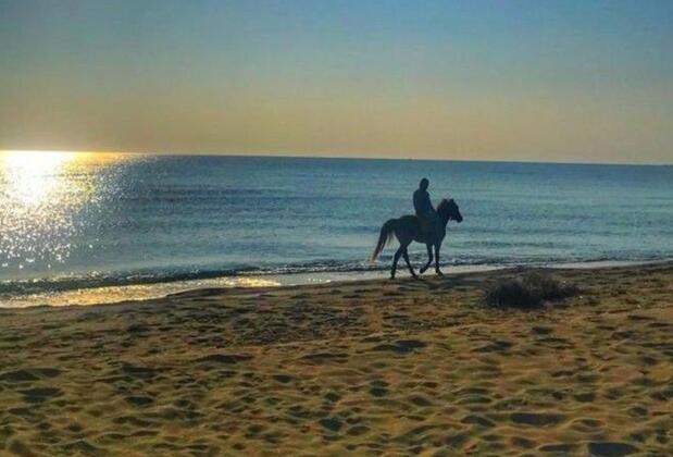 Nova Port Boutique Hotel - Görsel 5