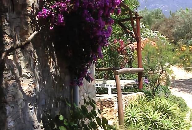 Ocakköy Holiday Village - Görsel 35