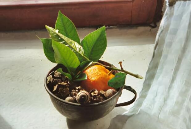 Ocakköy Holiday Village - Görsel 46