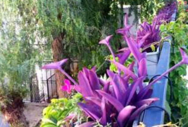 Emelce Apart - Görsel 13