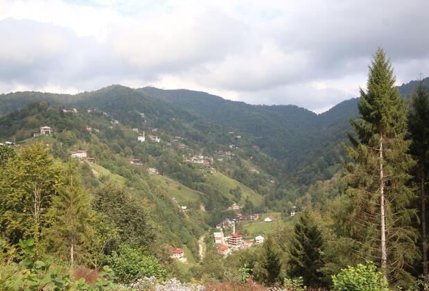 Şapart Otel - Görsel 5