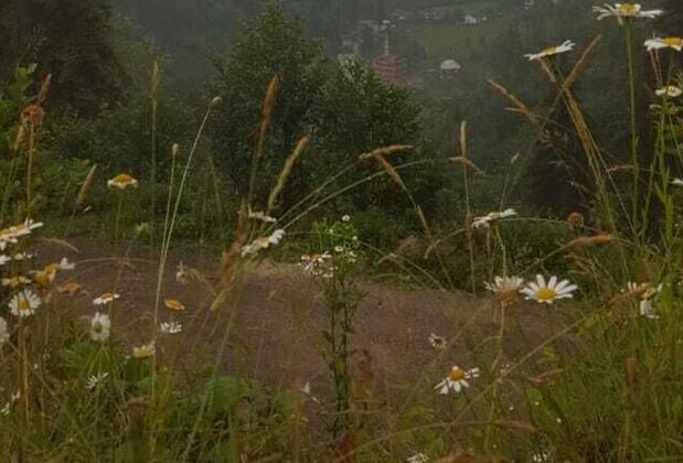 Şapart Otel - Görsel 6