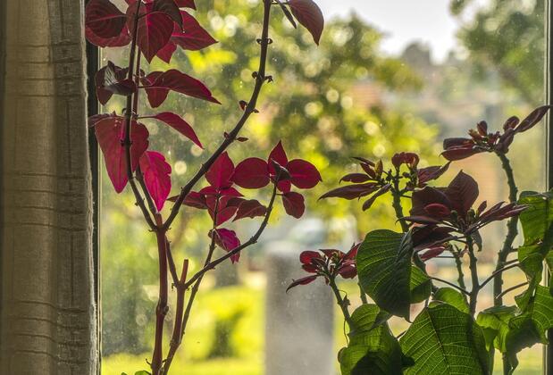 Elaia Hotel Bergama - Görsel 4