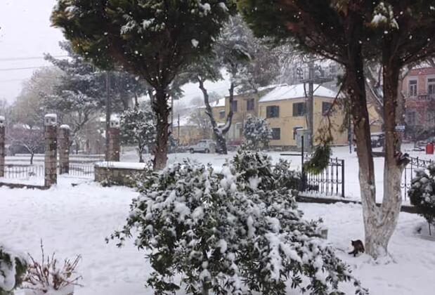 Elaia Hotel Bergama - Görsel 8