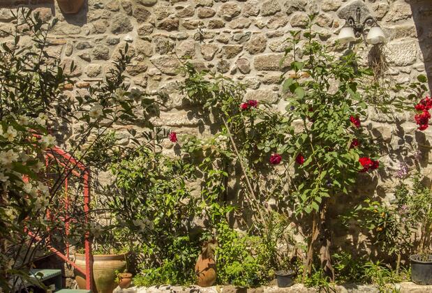 Elaia Hotel Bergama - Görsel 9