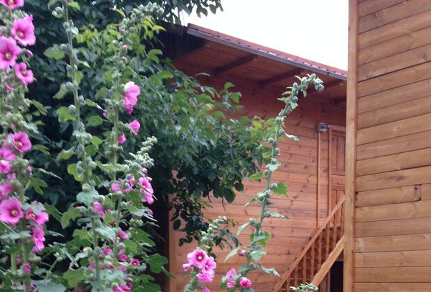 Veliköy Han Konakları - Görsel 5